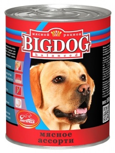     "BIG DOG"      