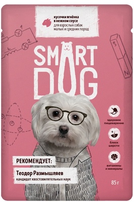  Smart Dog                 