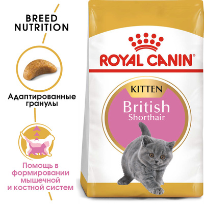 картинка Royal Canin Для котят британской короткошерстной: 4-12 мес. (Kitten British Shorthair)  от зоомагазина Кандибобер