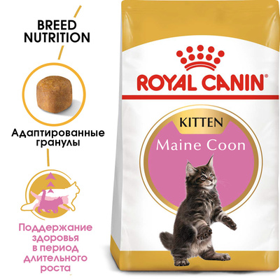 картинка Royal Canin. Для котят Мейн-кун (4-12 мес.) (Kitten Мaine Coon) от зоомагазина Кандибобер
