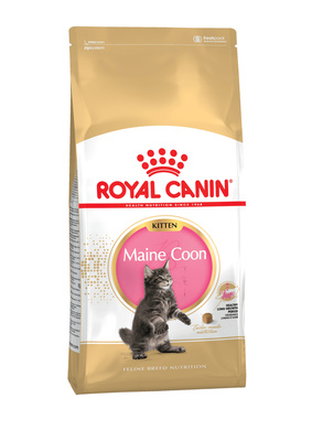 картинка Royal Canin. Для котят Мейн-кун (4-12 мес.) (Kitten Мaine Coon) от зоомагазина Кандибобер